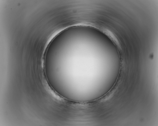 X0000089660900200706210728