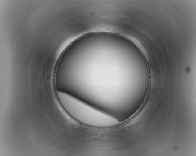 X0000089660901200706210728