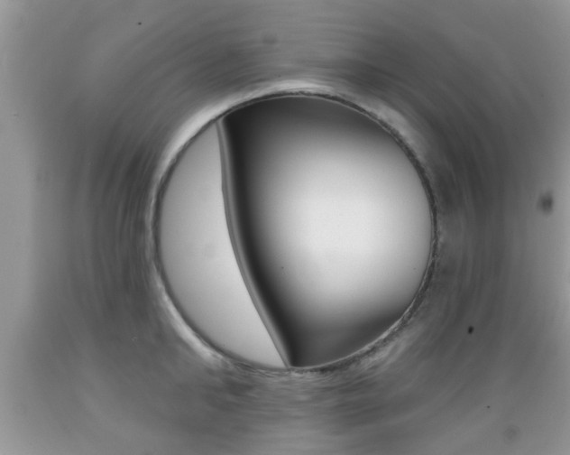 X0000089660902200706210728