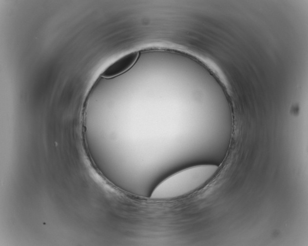 X0000089660903200706210728