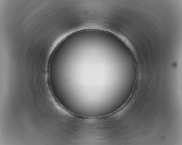 X0000089660904200706210728