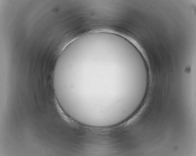 X0000089660905200706210728