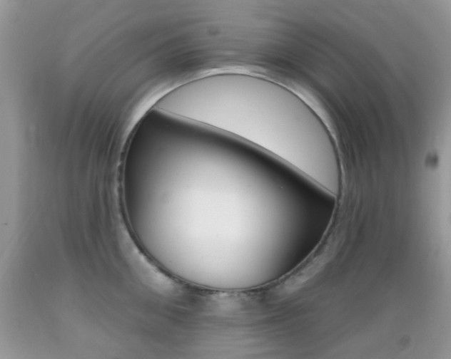 X0000089660906200706210728