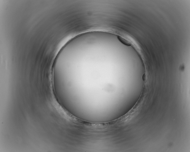 X0000089660907200706210728