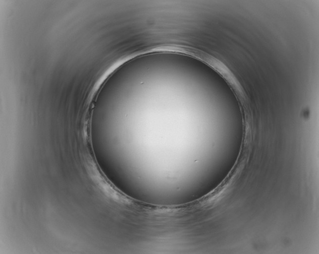 X0000089660908200706210728