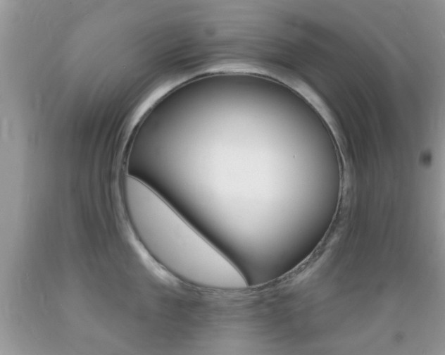 X0000089660909200706210728