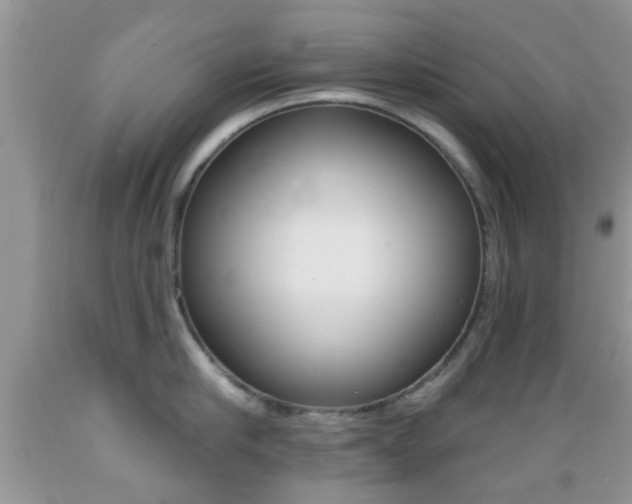 X0000089660910200706210727