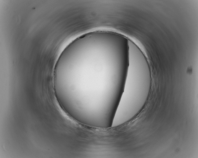 X0000089660911200706210727