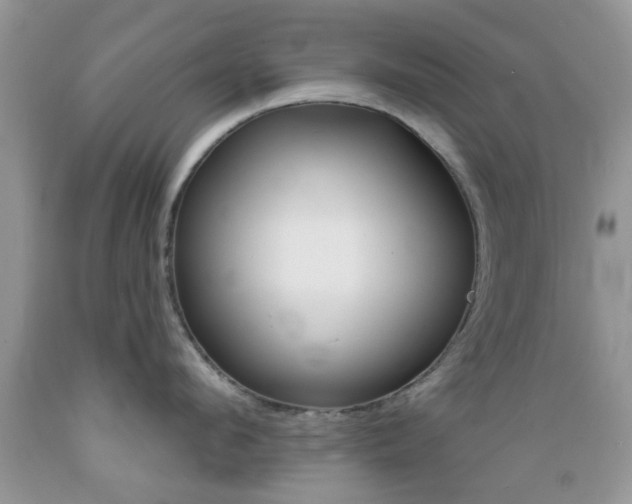 X0000089660912200706210727