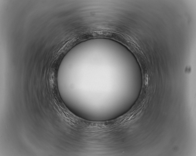 X0000089660915200706210727