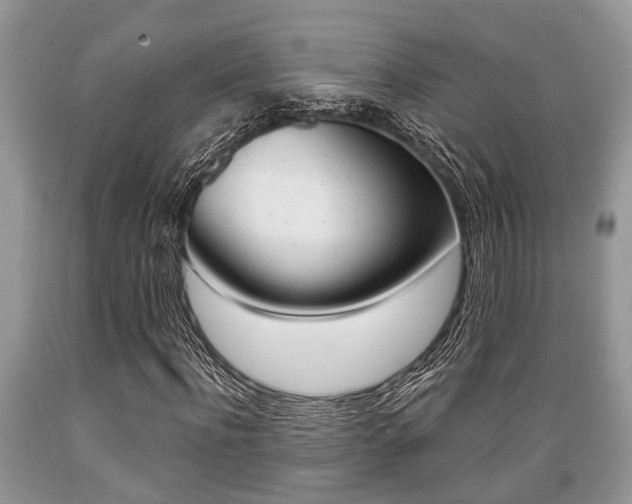 X0000089660916200706210727