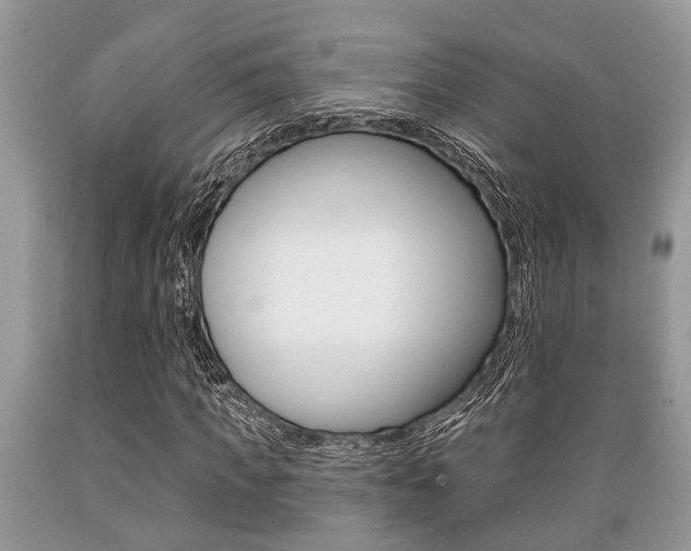 X0000089660917200706210727