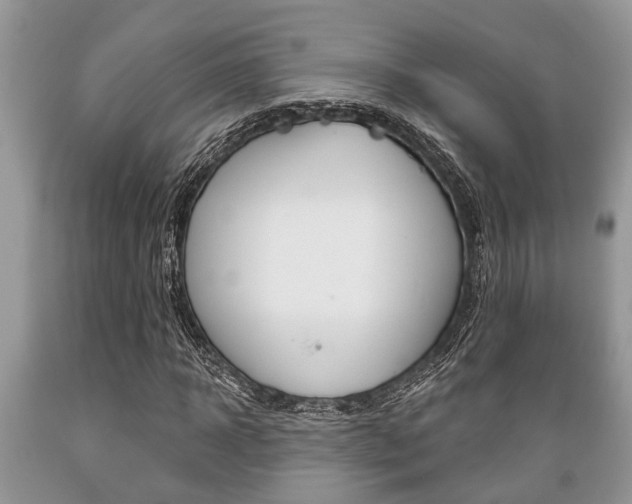 X0000089660918200706210727
