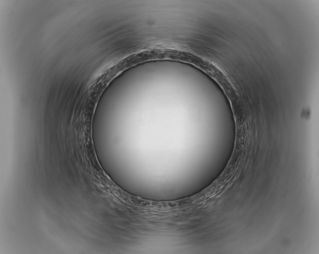 X0000089660919200706210727