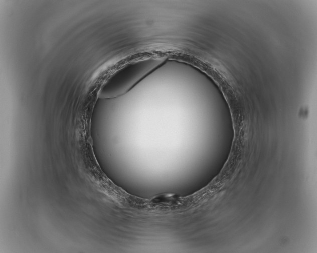 X0000089660920200706210727