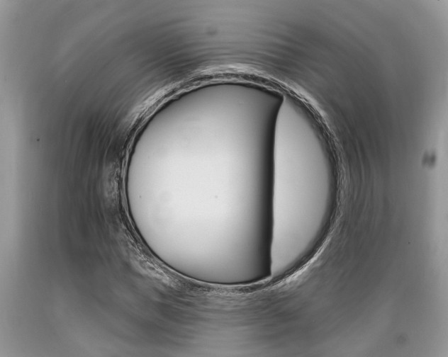 X0000089660921200706210727