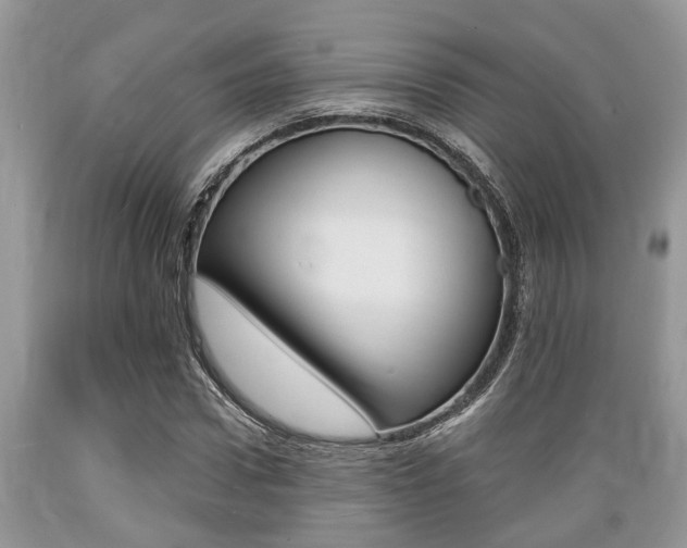 X0000089660922200706210727