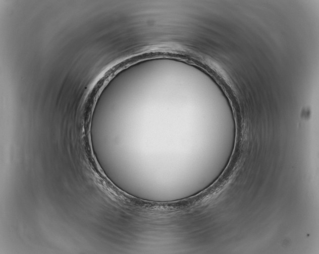 X0000089660923200706210727