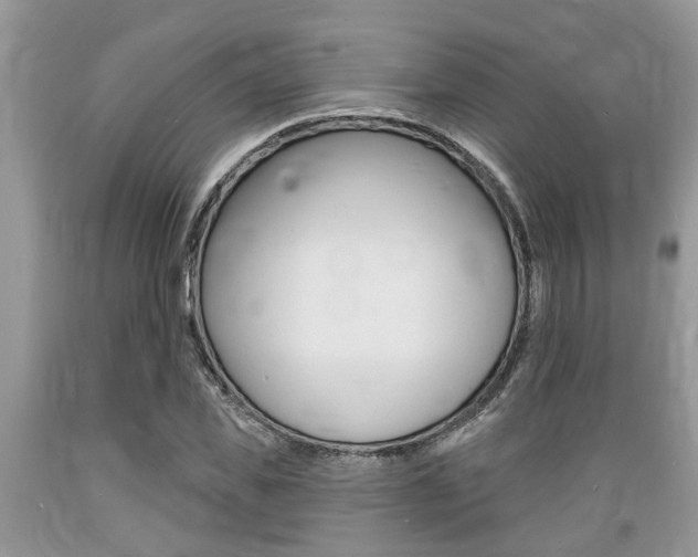 X0000089660925200706210727