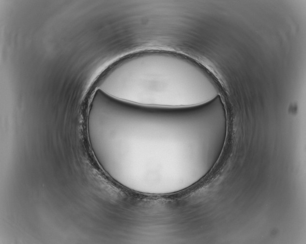 X0000089660926200706210727