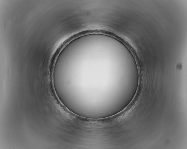 X0000089660927200706210727