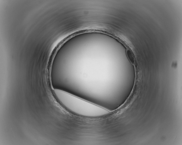 X0000089660928200706210727