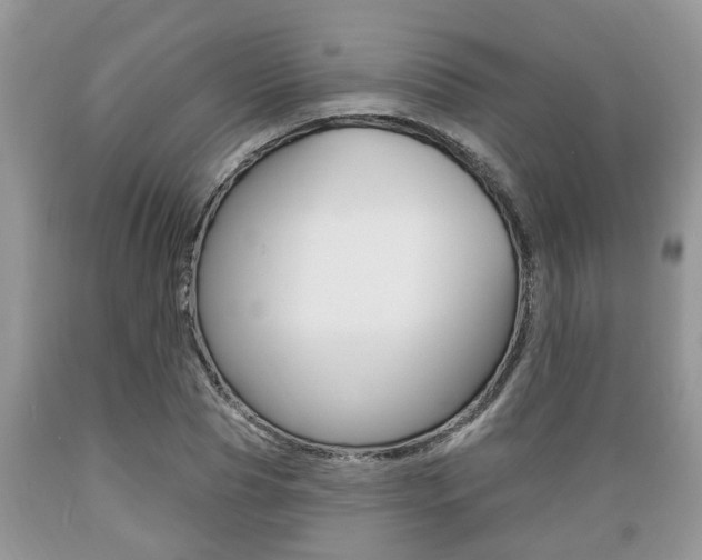 X0000089660929200706210727