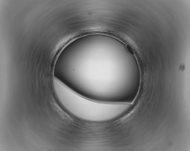 X0000089660930200706210727