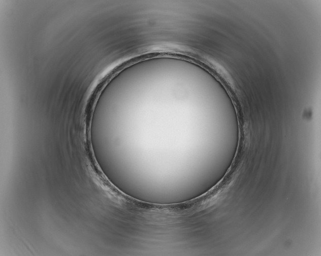 X0000089660931200706210727