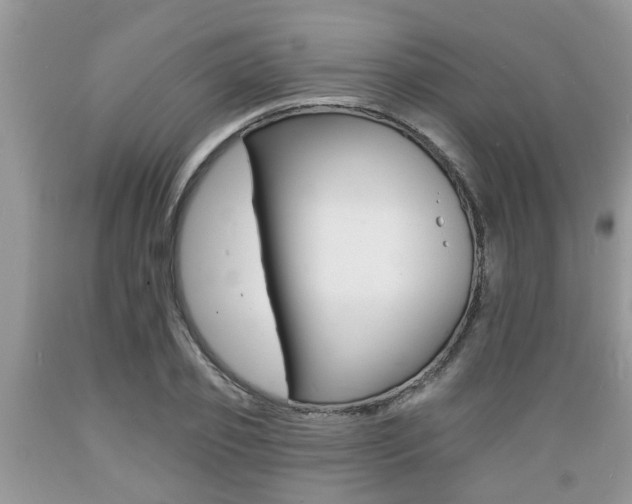 X0000089660933200706210727