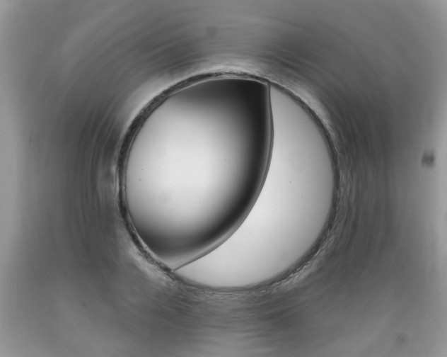 X0000089660936200706210727