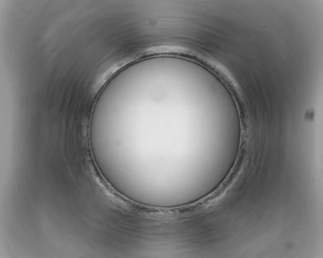 X0000089660937200706210727