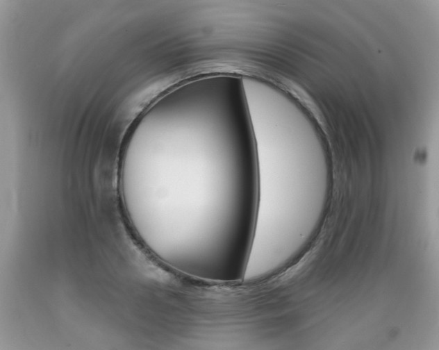X0000089660938200706210727