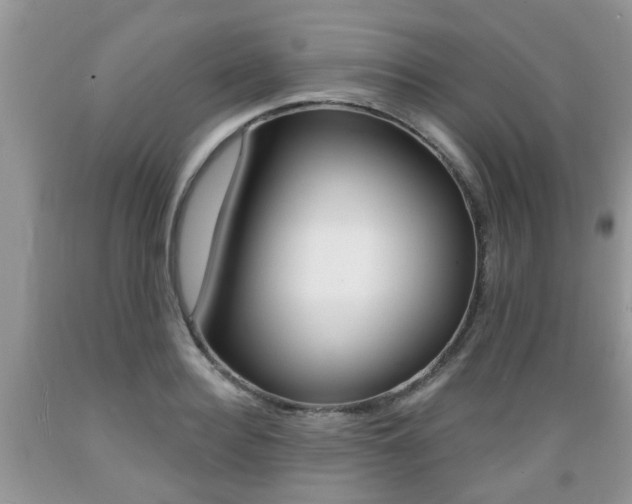 X0000089660940200706210727