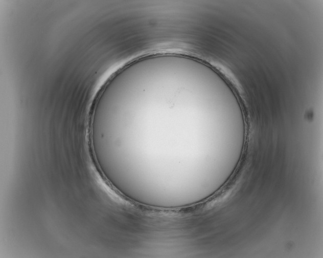 X0000089660941200706210727