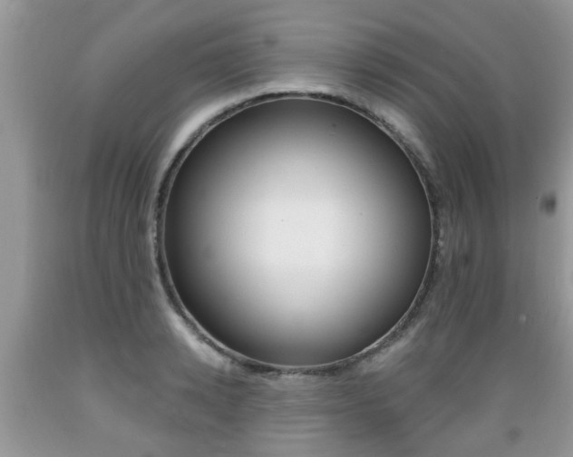 X0000089660942200706210727