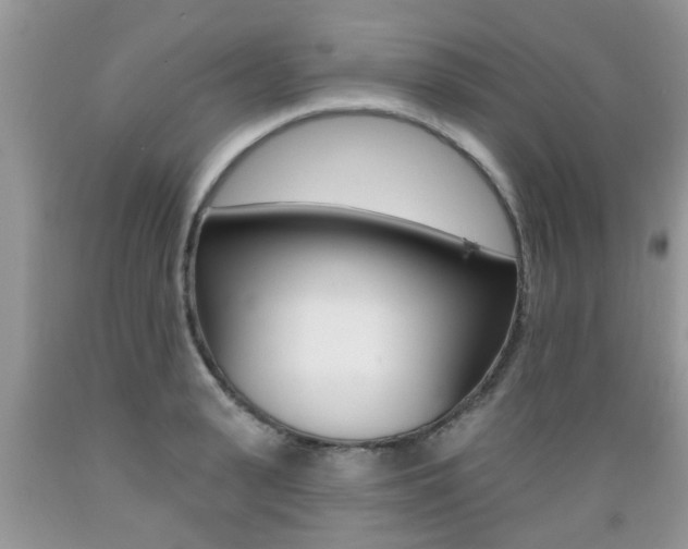 X0000089660943200706210727