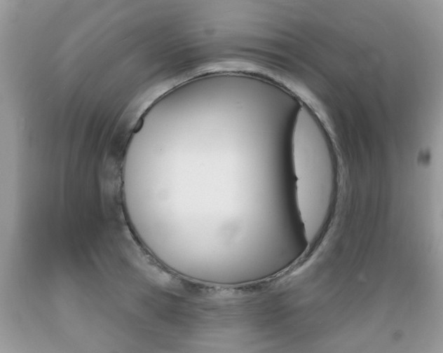 X0000089660945200706210727