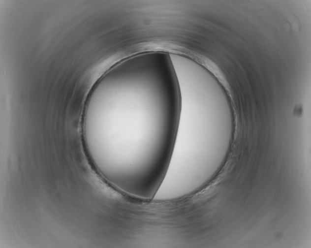 X0000089660946200706210727
