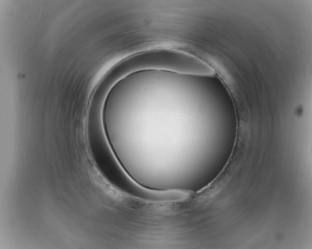 X0000089660948200706210727