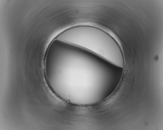 X0000089660951200706210727