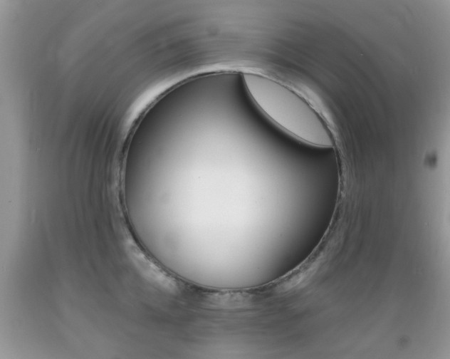 X0000089660952200706210727