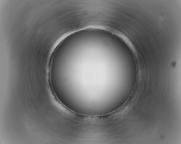 X0000089660955200706210727