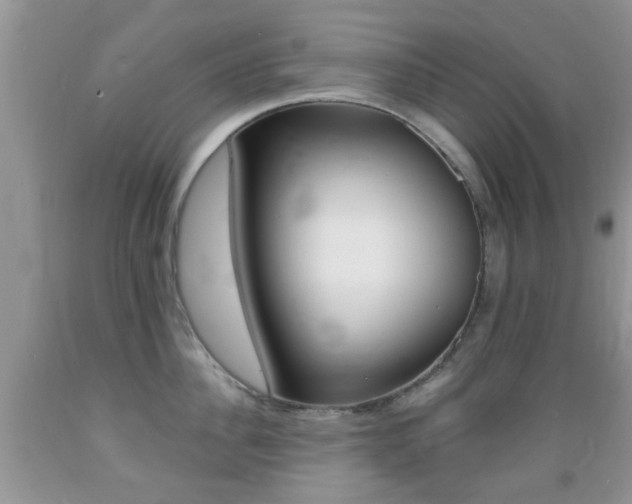 X0000089660956200706210727