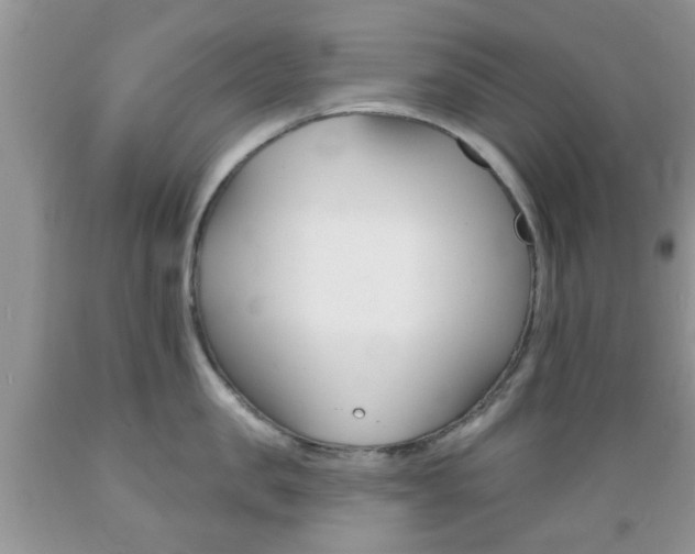 X0000089660957200706210727