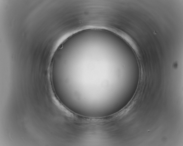 X0000089660958200706210727