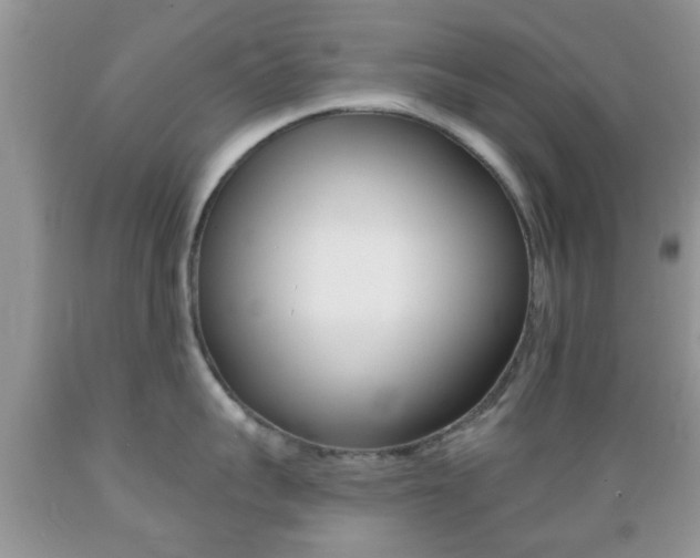 X0000089660959200706210727