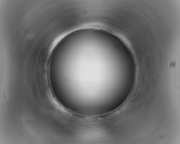 X0000089660960200706210727