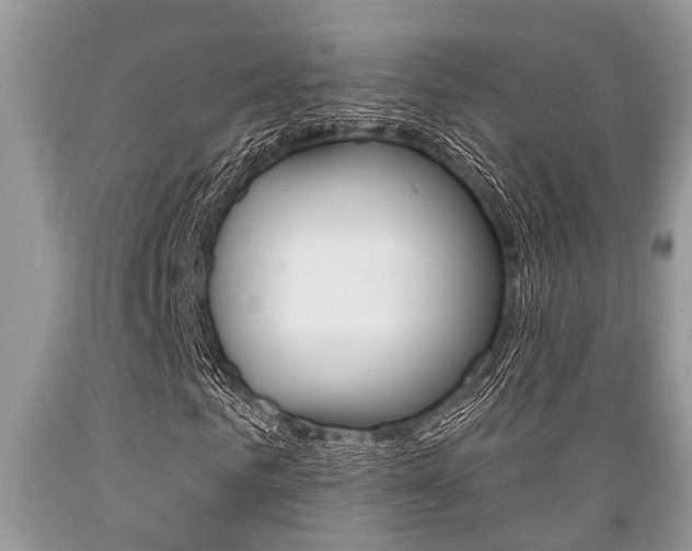 X0000089660961200706210727