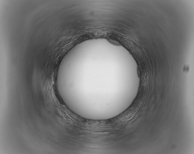X0000089660962200706210727